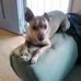 Profile Picture of Paul Krajewski (@paul.krajewski.790) on Facebook