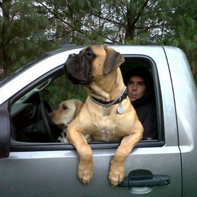 Profile Picture of Joe Marciniak (@Dos_Joes) on Twitter