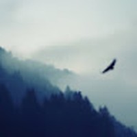 Profile Picture of Cooper Morrow (@cooper-morrow-6) on Quora