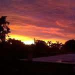 Profile Picture of Matthew Fleischman (@justmatt101) on Instagram