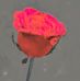 Profile Picture of Joe Philip (@joe.philip.75286) on Facebook