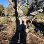 Rob Larson - Instagram Profile Picture of Rob Larson (@robelarson) on Instagram