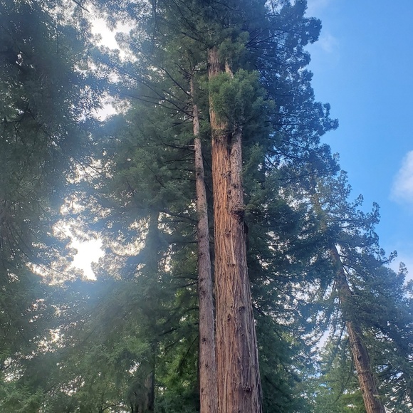 Profile Picture of James Stewart (@retrovtgattire) on Poshmark