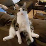 Profile Picture of Teresa Engel (@teresa.engel) on Instagram