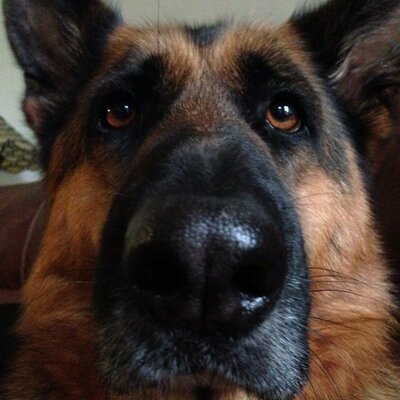 Profile Picture of James Jackson (@JamesJacko14) on Twitter