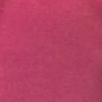 Profile Picture of Lilly Millier (@AlyssaLedesma10) on Twitter