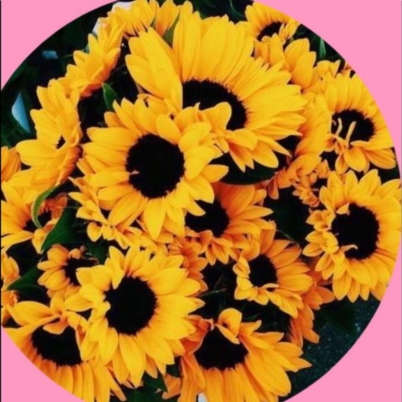 Profile Picture of Lacy Hinton (@lacyhinty) on Poshmark