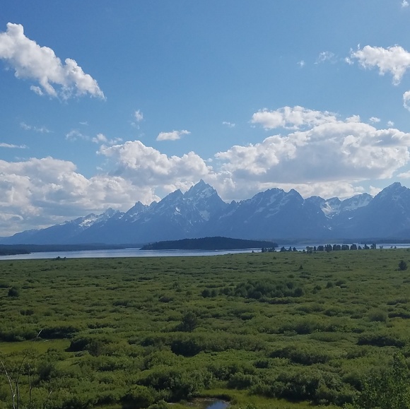 Profile Picture of Allison Bernhardt (@ajbernhardt) on Poshmark