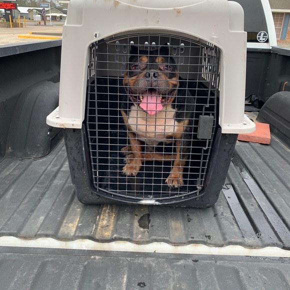 Kyso Bellard - Poshmark Profile Picture of Kyso Bellard (@kysobellard) on Poshmark