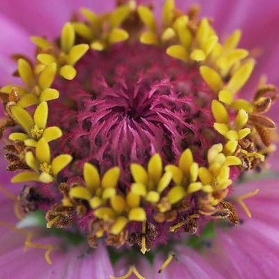 Profile Picture of Murraysymphorien (@jomurr74) on Twitter