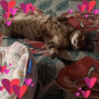 Theresa Gwin - Instagram Profile Picture of Theresa Gwin (@gwin.terri) on Instagram