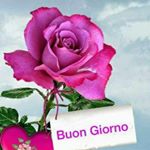 Profile Picture of maria l'abbate (@maria.zoiro.mz) on Instagram