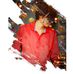 Profile Picture of Justin Harsh (india) (@Justin-Harsh) on Facebook