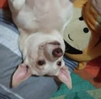 Profile Picture of Frehja Fernandez (@frehja.fernandez) on Facebook