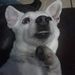 Profile Picture of Adam Pawlak (@ampawlak333) on Pinterest