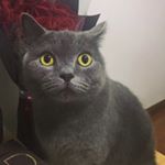 Profile Picture of AllenMattson (@allenmattson6688) on Instagram