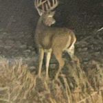 Profile Picture of John Schleusner (@johnschleusner) on Instagram