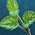 John Thorne - Flickr Profile Picture of John Thorne (@gsa sustainability group) on Flickr