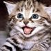 Profile Picture of Cristopher Bednar (@cristopher.bednar.75) on Facebook