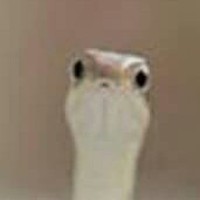 Profile Picture of Grayden Scaccianoce (@grayden-scaccianoce) on Quora