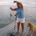 Profile Picture of Allison Beebe (@beebeallison) on Instagram