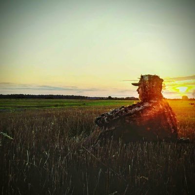 Profile Picture of Jonathan Doan (@JDoan22) on Twitter