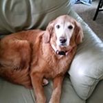 Profile Picture of Steve ODoherty (@odohertysteve) on Instagram