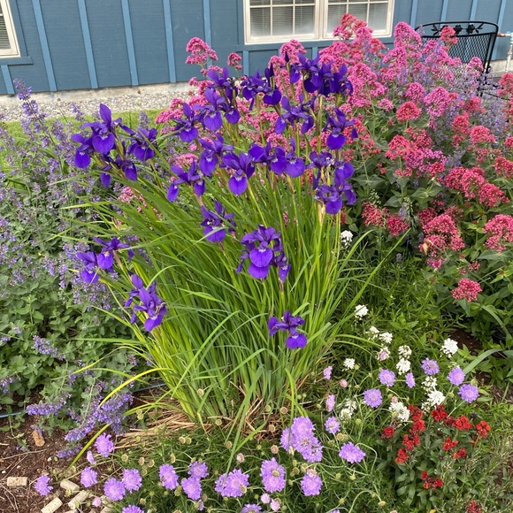 Profile Picture of Mandy Hudson (@mandymh23) on Poshmark