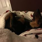 Profile Picture of Jason Shermer (@jason.shermer.7) on Instagram