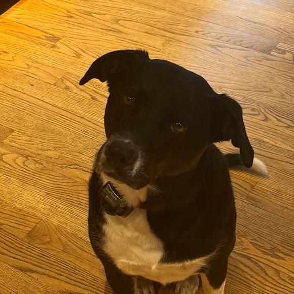 Profile Picture of David Ely (@david_ely) on Poshmark