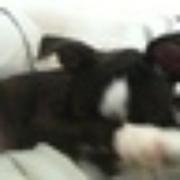 Profile Picture of Lisa Fournier Babin (@LisaFoBa27) on Twitter