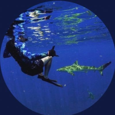 Profile Picture of Mike (@Fritz8) on Twitter