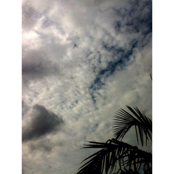 Profile Picture of Cassandra Casillas (@cassandraa_15) on Poshmark