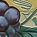 Profile Picture of C Comotto (@chris.comotto) on Flickr