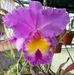 Profile Picture of Myrna Alicea (@myrna.alicea.12) on Facebook