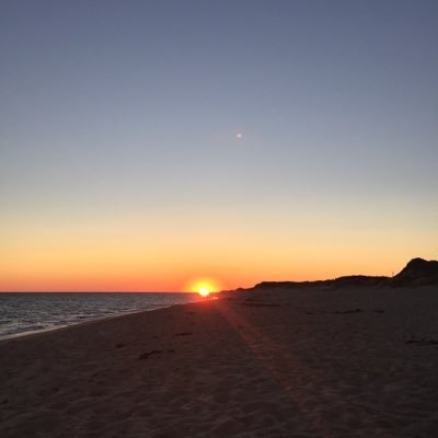 Profile Picture of Joe Iaconni (@JoeyLaxMD) on Twitter