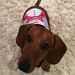 Profile Picture of Marilyn Frank (@marilynfran) on Pinterest
