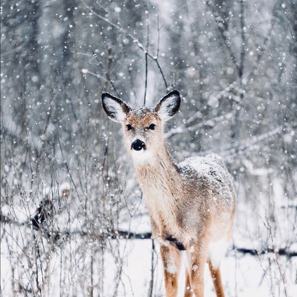 Profile Picture of Jason Trigueros (@jason_trigueros) on Poshmark