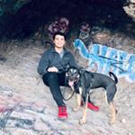Profile Picture of Brian (@brianschmidty) on Instagram