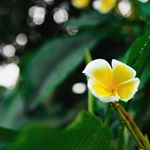 Profile Picture of Jenna Mansfield (@jmansfield.photography) on Instagram