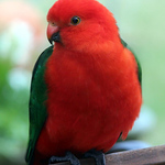 Profile Picture of Arthur Chapman (@Arthur Chapman) on Flickr