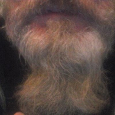 Profile Picture of Brett Groves (@beards4teachers) on Twitter