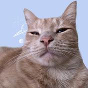 Anel Sanchez - Youtube Profile Picture of Anel Sanchez (@catnelle25) on Youtube