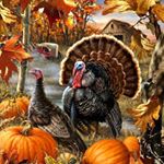 Profile Picture of Amanda Jo Wolfenbarger (@popcorn46752gmail.com_) on Instagram