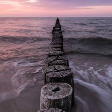 Profile Picture of Carlos I. Lazos G. (@lazos_i) on Twitter