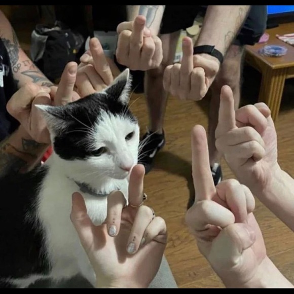 Profile Picture of Olivia Eyermann (@ollieeye) on Poshmark