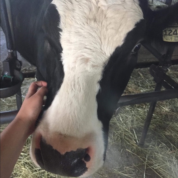 Profile Picture of Melodie Saracosa (@msaracosa) on Poshmark