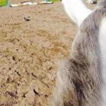 даниелле клеменс - Instagram Profile Picture of даниелле клеменс (@danielle0i2klemens78476) on Instagram