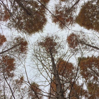 Profile Picture of 杜府 (@DuZhaoCheng) on Twitter