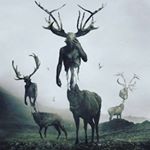 Profile Picture of Clint Rucker (@kingkoopa1994) on Instagram